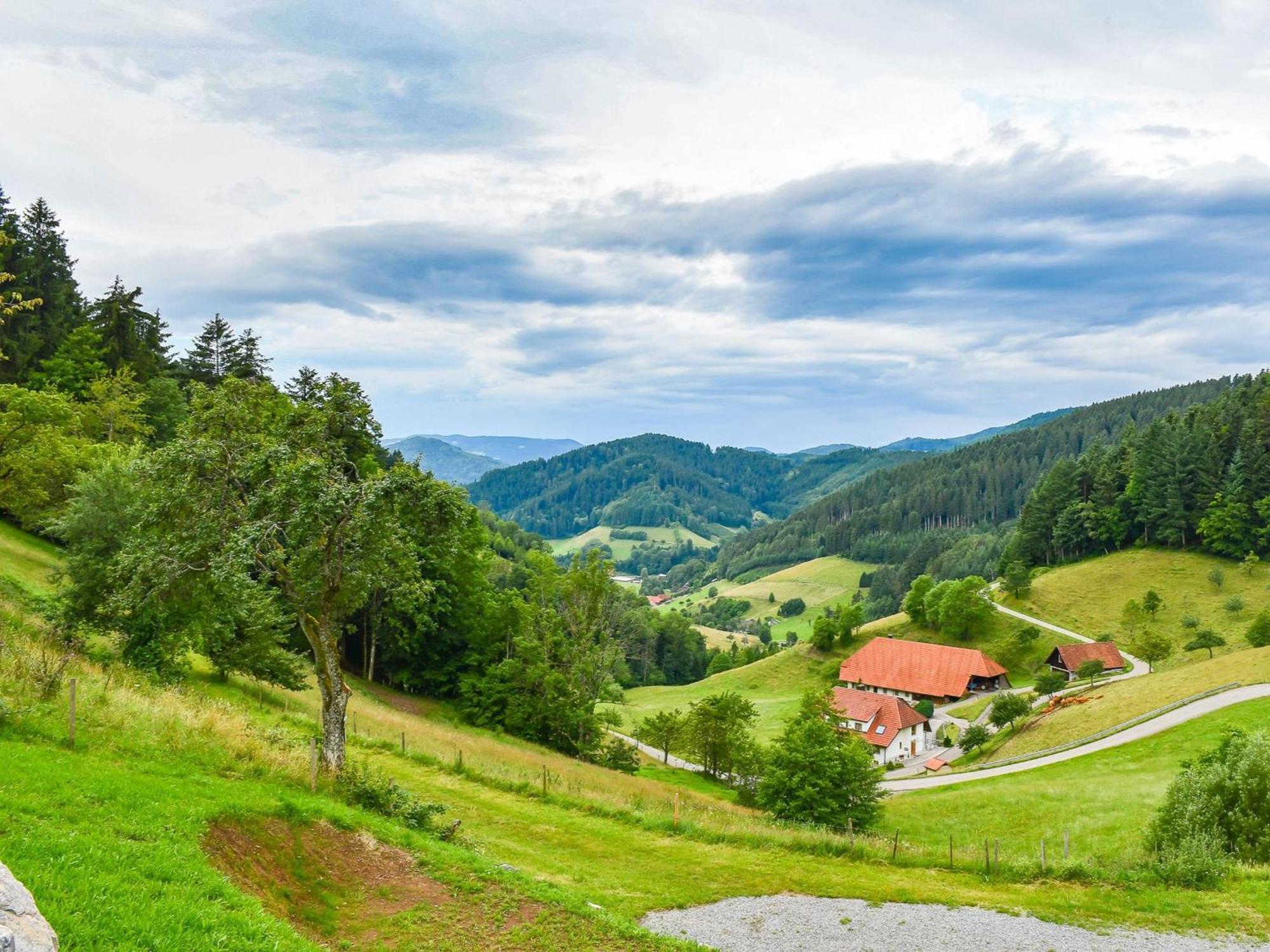 Ferienhaus Wendelinus Mit Pool & Sauna Hausach Luaran gambar