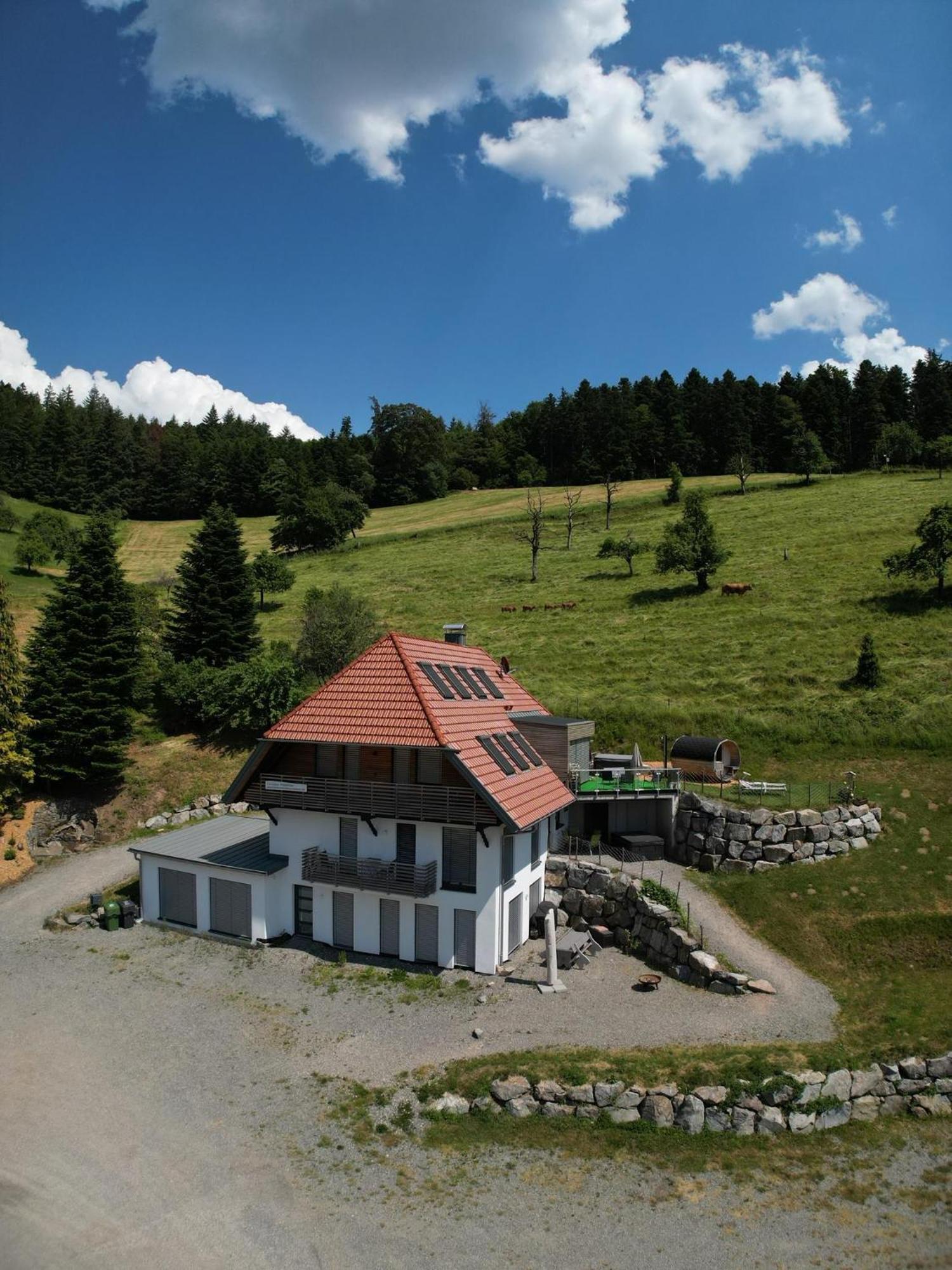 Ferienhaus Wendelinus Mit Pool & Sauna Hausach Luaran gambar